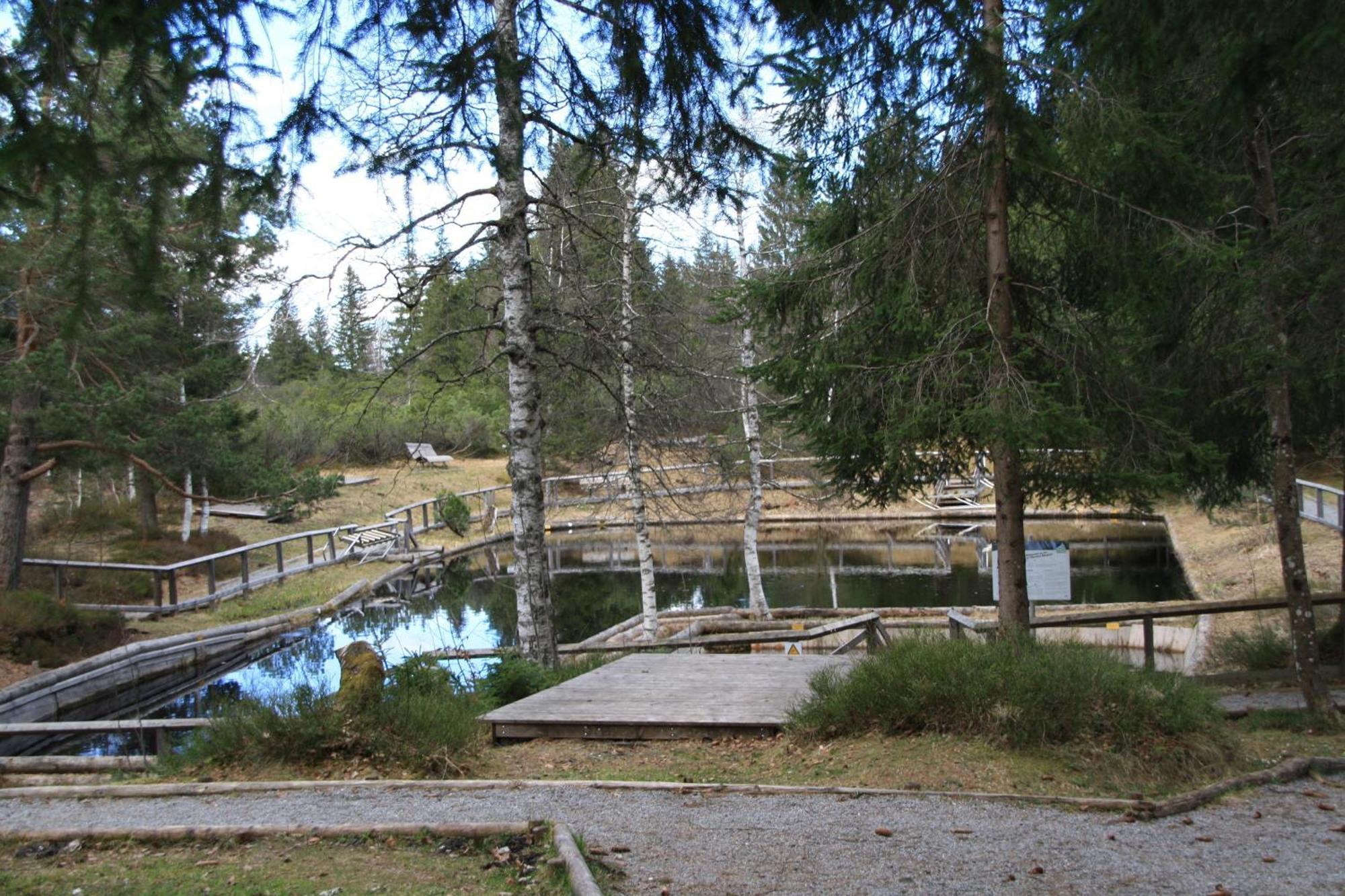 Ferienwohnung Bachmann Oberjoch Bagian luar foto